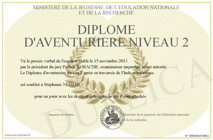 diplome niveau 2